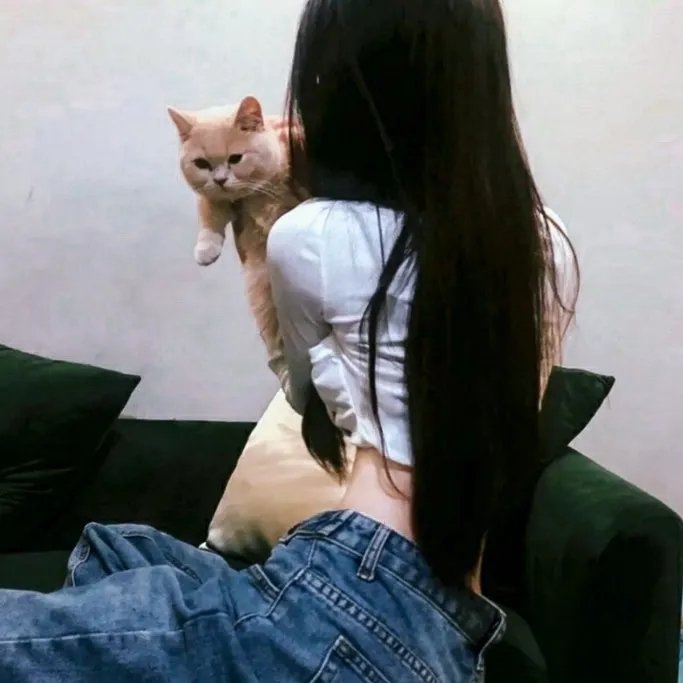 灵虎爱