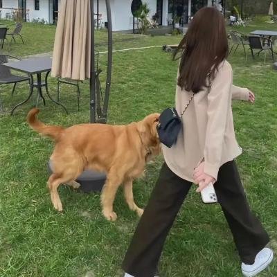 怪诞小镇第一季
